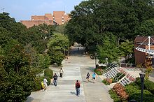 A raised view of a large, grey sidewalk that extends from the center foreground to the background, with several people walking either away or toward the point of view. A building extends along the sidewalk from the right side of frame in the foreground, and dense, verdant foliage extends from the left side of the frame in the foreground. There are a few particularly large trees in the background, obscuring the view of the sidewalk. In the background on the left two large red brick buildings.